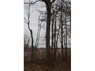 Property photo 59 - MAJOR OHIO LAND AUCTION 710+/- ACRES OFFERED IN 11 TRACTS OR IN COMBINATIONS IN DEFIANCE AND PAULDING COUNTIES, OH
