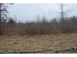 Property photo 60 - MAJOR OHIO LAND AUCTION 710+/- ACRES OFFERED IN 11 TRACTS OR IN COMBINATIONS IN DEFIANCE AND PAULDING COUNTIES, OH