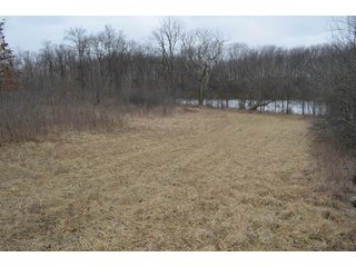 Property photo 61 - MAJOR OHIO LAND AUCTION 710+/- ACRES OFFERED IN 11 TRACTS OR IN COMBINATIONS IN DEFIANCE AND PAULDING COUNTIES, OH