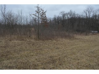 Property photo 62 - MAJOR OHIO LAND AUCTION 710+/- ACRES OFFERED IN 11 TRACTS OR IN COMBINATIONS IN DEFIANCE AND PAULDING COUNTIES, OH