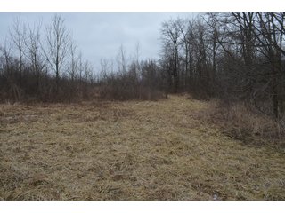 Property photo 63 - MAJOR OHIO LAND AUCTION 710+/- ACRES OFFERED IN 11 TRACTS OR IN COMBINATIONS IN DEFIANCE AND PAULDING COUNTIES, OH