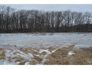 Property photo 64 - MAJOR OHIO LAND AUCTION 710+/- ACRES OFFERED IN 11 TRACTS OR IN COMBINATIONS IN DEFIANCE AND PAULDING COUNTIES, OH