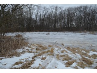 Property photo 65 - MAJOR OHIO LAND AUCTION 710+/- ACRES OFFERED IN 11 TRACTS OR IN COMBINATIONS IN DEFIANCE AND PAULDING COUNTIES, OH