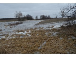 Property photo 66 - MAJOR OHIO LAND AUCTION 710+/- ACRES OFFERED IN 11 TRACTS OR IN COMBINATIONS IN DEFIANCE AND PAULDING COUNTIES, OH
