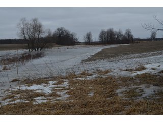 Property photo 67 - MAJOR OHIO LAND AUCTION 710+/- ACRES OFFERED IN 11 TRACTS OR IN COMBINATIONS IN DEFIANCE AND PAULDING COUNTIES, OH