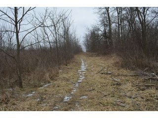 Property photo 68 - MAJOR OHIO LAND AUCTION 710+/- ACRES OFFERED IN 11 TRACTS OR IN COMBINATIONS IN DEFIANCE AND PAULDING COUNTIES, OH