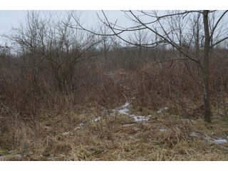 Property photo 69 - MAJOR OHIO LAND AUCTION 710+/- ACRES OFFERED IN 11 TRACTS OR IN COMBINATIONS IN DEFIANCE AND PAULDING COUNTIES, OH