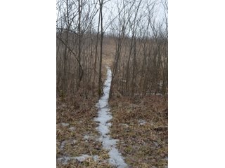 Property photo 70 - MAJOR OHIO LAND AUCTION 710+/- ACRES OFFERED IN 11 TRACTS OR IN COMBINATIONS IN DEFIANCE AND PAULDING COUNTIES, OH