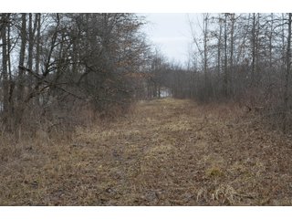 Property photo 71 - MAJOR OHIO LAND AUCTION 710+/- ACRES OFFERED IN 11 TRACTS OR IN COMBINATIONS IN DEFIANCE AND PAULDING COUNTIES, OH