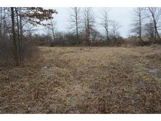 Property photo 72 - MAJOR OHIO LAND AUCTION 710+/- ACRES OFFERED IN 11 TRACTS OR IN COMBINATIONS IN DEFIANCE AND PAULDING COUNTIES, OH
