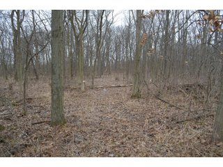 Property photo 73 - MAJOR OHIO LAND AUCTION 710+/- ACRES OFFERED IN 11 TRACTS OR IN COMBINATIONS IN DEFIANCE AND PAULDING COUNTIES, OH