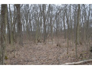 Property photo 74 - MAJOR OHIO LAND AUCTION 710+/- ACRES OFFERED IN 11 TRACTS OR IN COMBINATIONS IN DEFIANCE AND PAULDING COUNTIES, OH