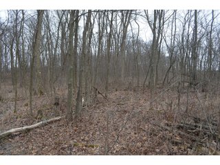 Property photo 75 - MAJOR OHIO LAND AUCTION 710+/- ACRES OFFERED IN 11 TRACTS OR IN COMBINATIONS IN DEFIANCE AND PAULDING COUNTIES, OH