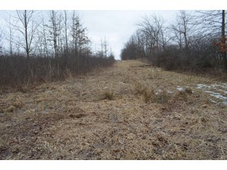Property photo 76 - MAJOR OHIO LAND AUCTION 710+/- ACRES OFFERED IN 11 TRACTS OR IN COMBINATIONS IN DEFIANCE AND PAULDING COUNTIES, OH