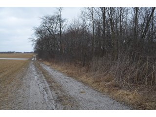 Property photo 77 - MAJOR OHIO LAND AUCTION 710+/- ACRES OFFERED IN 11 TRACTS OR IN COMBINATIONS IN DEFIANCE AND PAULDING COUNTIES, OH