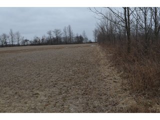 Property photo 78 - MAJOR OHIO LAND AUCTION 710+/- ACRES OFFERED IN 11 TRACTS OR IN COMBINATIONS IN DEFIANCE AND PAULDING COUNTIES, OH