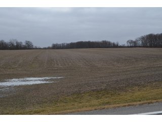 Property photo 79 - MAJOR OHIO LAND AUCTION 710+/- ACRES OFFERED IN 11 TRACTS OR IN COMBINATIONS IN DEFIANCE AND PAULDING COUNTIES, OH