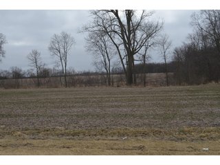 Property photo 80 - MAJOR OHIO LAND AUCTION 710+/- ACRES OFFERED IN 11 TRACTS OR IN COMBINATIONS IN DEFIANCE AND PAULDING COUNTIES, OH