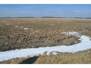 Property photo 83 - MAJOR OHIO LAND AUCTION 710+/- ACRES OFFERED IN 11 TRACTS OR IN COMBINATIONS IN DEFIANCE AND PAULDING COUNTIES, OH