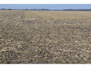 Property photo 85 - MAJOR OHIO LAND AUCTION 710+/- ACRES OFFERED IN 11 TRACTS OR IN COMBINATIONS IN DEFIANCE AND PAULDING COUNTIES, OH
