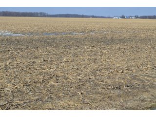 Property photo 86 - MAJOR OHIO LAND AUCTION 710+/- ACRES OFFERED IN 11 TRACTS OR IN COMBINATIONS IN DEFIANCE AND PAULDING COUNTIES, OH