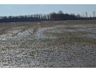 Property photo 89 - MAJOR OHIO LAND AUCTION 710+/- ACRES OFFERED IN 11 TRACTS OR IN COMBINATIONS IN DEFIANCE AND PAULDING COUNTIES, OH
