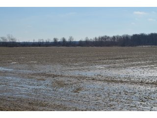 Property photo 90 - MAJOR OHIO LAND AUCTION 710+/- ACRES OFFERED IN 11 TRACTS OR IN COMBINATIONS IN DEFIANCE AND PAULDING COUNTIES, OH