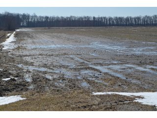 Property photo 94 - MAJOR OHIO LAND AUCTION 710+/- ACRES OFFERED IN 11 TRACTS OR IN COMBINATIONS IN DEFIANCE AND PAULDING COUNTIES, OH