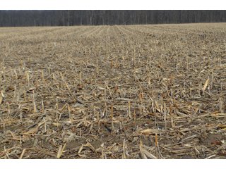 Property photo 97 - MAJOR OHIO LAND AUCTION 710+/- ACRES OFFERED IN 11 TRACTS OR IN COMBINATIONS IN DEFIANCE AND PAULDING COUNTIES, OH
