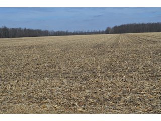Property photo 100 - MAJOR OHIO LAND AUCTION 710+/- ACRES OFFERED IN 11 TRACTS OR IN COMBINATIONS IN DEFIANCE AND PAULDING COUNTIES, OH