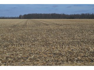 Property photo 101 - MAJOR OHIO LAND AUCTION 710+/- ACRES OFFERED IN 11 TRACTS OR IN COMBINATIONS IN DEFIANCE AND PAULDING COUNTIES, OH
