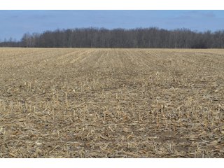 Property photo 102 - MAJOR OHIO LAND AUCTION 710+/- ACRES OFFERED IN 11 TRACTS OR IN COMBINATIONS IN DEFIANCE AND PAULDING COUNTIES, OH