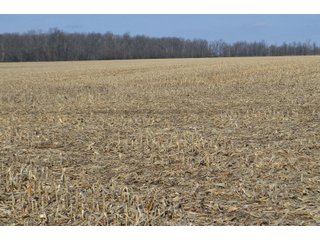 Property photo 103 - MAJOR OHIO LAND AUCTION 710+/- ACRES OFFERED IN 11 TRACTS OR IN COMBINATIONS IN DEFIANCE AND PAULDING COUNTIES, OH