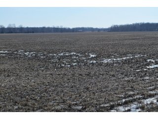 Property photo 105 - MAJOR OHIO LAND AUCTION 710+/- ACRES OFFERED IN 11 TRACTS OR IN COMBINATIONS IN DEFIANCE AND PAULDING COUNTIES, OH
