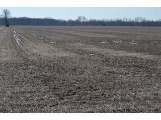 Property photo 107 - MAJOR OHIO LAND AUCTION 710+/- ACRES OFFERED IN 11 TRACTS OR IN COMBINATIONS IN DEFIANCE AND PAULDING COUNTIES, OH