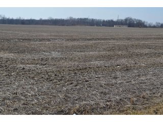 Property photo 108 - MAJOR OHIO LAND AUCTION 710+/- ACRES OFFERED IN 11 TRACTS OR IN COMBINATIONS IN DEFIANCE AND PAULDING COUNTIES, OH