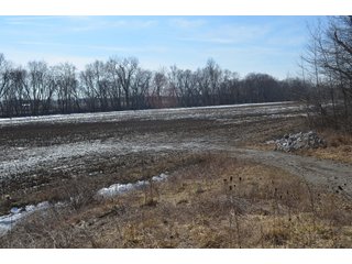 Property photo 111 - MAJOR OHIO LAND AUCTION 710+/- ACRES OFFERED IN 11 TRACTS OR IN COMBINATIONS IN DEFIANCE AND PAULDING COUNTIES, OH