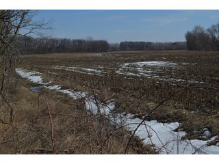 Property photo 112 - MAJOR OHIO LAND AUCTION 710+/- ACRES OFFERED IN 11 TRACTS OR IN COMBINATIONS IN DEFIANCE AND PAULDING COUNTIES, OH