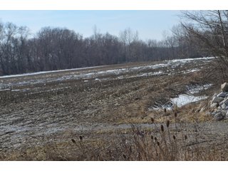 Property photo 113 - MAJOR OHIO LAND AUCTION 710+/- ACRES OFFERED IN 11 TRACTS OR IN COMBINATIONS IN DEFIANCE AND PAULDING COUNTIES, OH