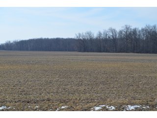 Property photo 117 - MAJOR OHIO LAND AUCTION 710+/- ACRES OFFERED IN 11 TRACTS OR IN COMBINATIONS IN DEFIANCE AND PAULDING COUNTIES, OH