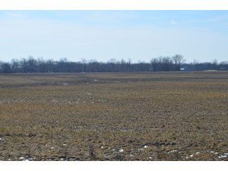 Property photo 118 - MAJOR OHIO LAND AUCTION 710+/- ACRES OFFERED IN 11 TRACTS OR IN COMBINATIONS IN DEFIANCE AND PAULDING COUNTIES, OH