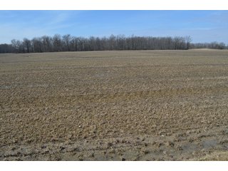 Property photo 122 - MAJOR OHIO LAND AUCTION 710+/- ACRES OFFERED IN 11 TRACTS OR IN COMBINATIONS IN DEFIANCE AND PAULDING COUNTIES, OH