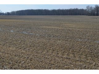Property photo 123 - MAJOR OHIO LAND AUCTION 710+/- ACRES OFFERED IN 11 TRACTS OR IN COMBINATIONS IN DEFIANCE AND PAULDING COUNTIES, OH