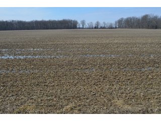Property photo 125 - MAJOR OHIO LAND AUCTION 710+/- ACRES OFFERED IN 11 TRACTS OR IN COMBINATIONS IN DEFIANCE AND PAULDING COUNTIES, OH