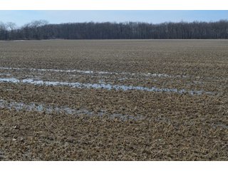 Property photo 126 - MAJOR OHIO LAND AUCTION 710+/- ACRES OFFERED IN 11 TRACTS OR IN COMBINATIONS IN DEFIANCE AND PAULDING COUNTIES, OH