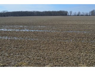 Property photo 127 - MAJOR OHIO LAND AUCTION 710+/- ACRES OFFERED IN 11 TRACTS OR IN COMBINATIONS IN DEFIANCE AND PAULDING COUNTIES, OH