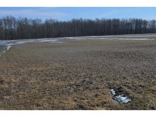 Property photo 130 - MAJOR OHIO LAND AUCTION 710+/- ACRES OFFERED IN 11 TRACTS OR IN COMBINATIONS IN DEFIANCE AND PAULDING COUNTIES, OH