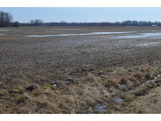 Property photo 131 - MAJOR OHIO LAND AUCTION 710+/- ACRES OFFERED IN 11 TRACTS OR IN COMBINATIONS IN DEFIANCE AND PAULDING COUNTIES, OH