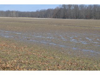 Property photo 134 - MAJOR OHIO LAND AUCTION 710+/- ACRES OFFERED IN 11 TRACTS OR IN COMBINATIONS IN DEFIANCE AND PAULDING COUNTIES, OH