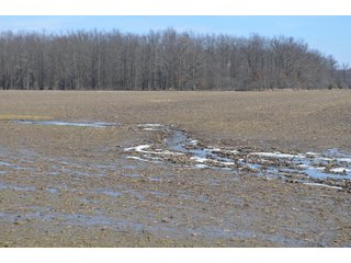 Property photo 135 - MAJOR OHIO LAND AUCTION 710+/- ACRES OFFERED IN 11 TRACTS OR IN COMBINATIONS IN DEFIANCE AND PAULDING COUNTIES, OH